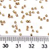 FGB 11/0 Grade A Glass Seed Beads SEED-S030-1219-4