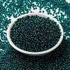 MIYUKI Round Rocailles Beads SEED-JP0009-RR3744-2