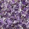 Natural Amethyst Chip Beads X-G-L453-06-1