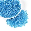 Transparent Glass Seed Beads SEED-N007-33A-06-1