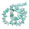 Natural Amazonite Beads Strands G-G106-J03-01-2