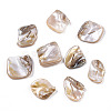 Freshwater Shell Beads X-SSHEL-T005-11-2