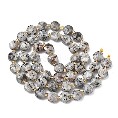 Natural Syenite Beads Strands G-K389-B86-01-1