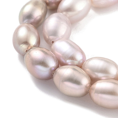Natural Cultured Freshwater Pearl Beads Strands PEAR-P062-10E-1