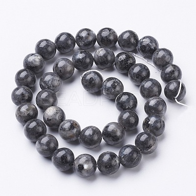 Natural Larvikite Beads Strands GSR10mmC128-1