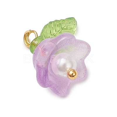 Glass Charms PALLOY-MZ00838-05-1