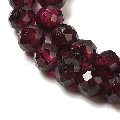 Natural Garnet Beads Strands G-F460-28-01-1