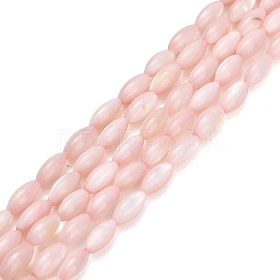 Natural Freshwater Shell Beads Strands SHEL-C010-01F-1