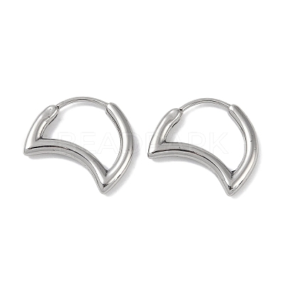 Non-Tarnish 316 Surgical Stainless Steel Hoop Earrings for Women EJEW-P274-18A-P-1