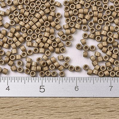 MIYUKI Delica Beads X-SEED-J020-DB1834F-1
