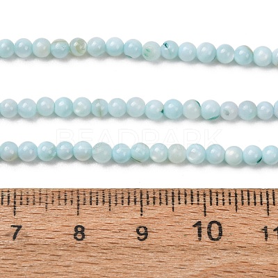 Dyed Natural Freshwater Shell Beads Strands SH-CBA2978-07A-01-1