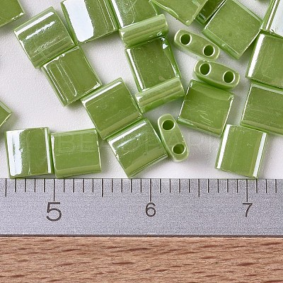 MIYUKI TILA Beads LS-X-SEED-J020-TL439-1