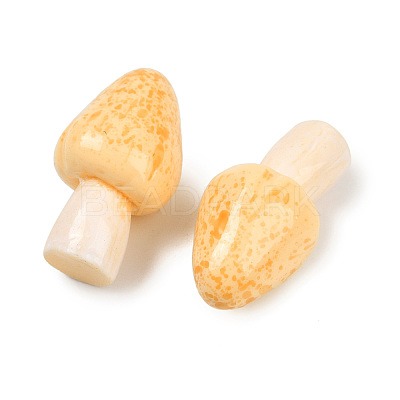 Mushroom Themes Resin Display Decorations DJEW-S002-01D-1
