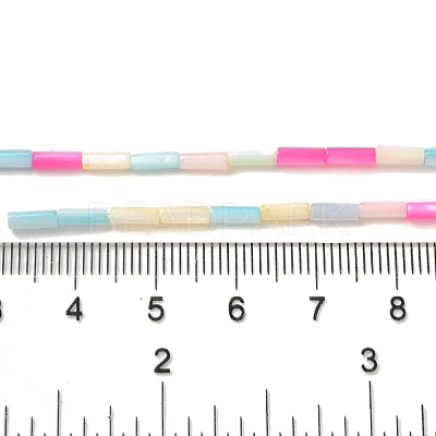 Rainbow Color Dyed Natural Freshwater Shell Beads Strands SHEL-G018-02A-1