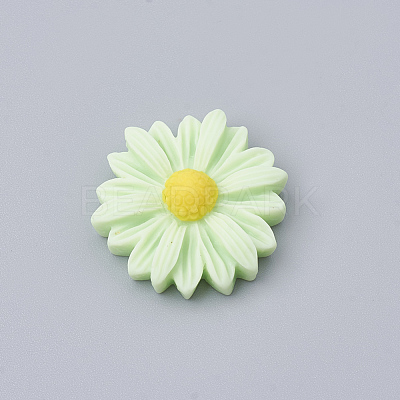 Resin Cabochons CRES-N007-10L-1