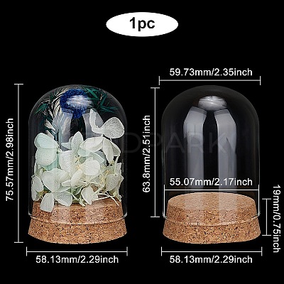 Glass Dome Cover AJEW-WH0307-70-1