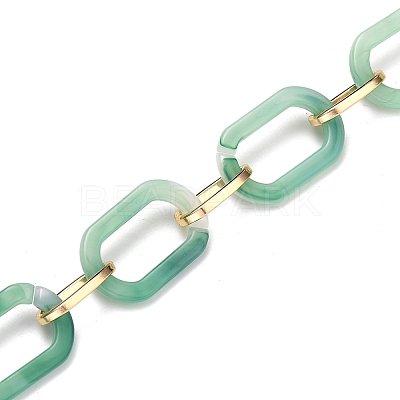 Handmade Acrylic Paperclip Chains X-AJEW-JB00697-02-1