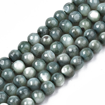 Natural Freshwater Shell Beads Strands X-SHEL-N003-24-B01-1