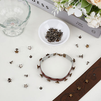 12 Bags 2 Colors Zinc Alloy Decorative Rivets FIND-FG0005-52A-1