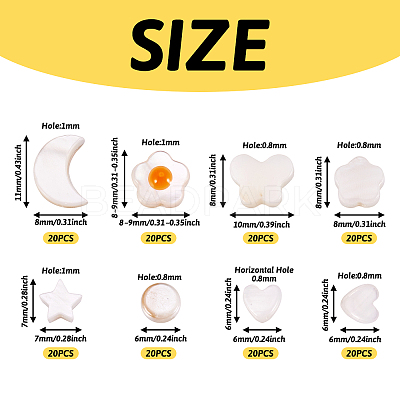 160Pcs 8 Styles Natural Freshwater Shell Beads Strands SHEL-TA0001-08-1
