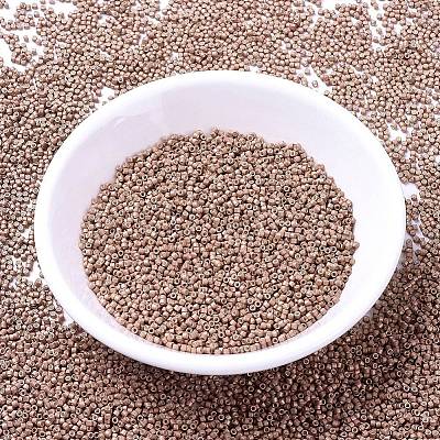 MIYUKI Delica Beads SEED-J020-DB1165-1