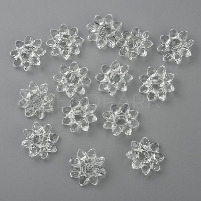 Transparent Acrylic Beads X-TACR-491-01-1