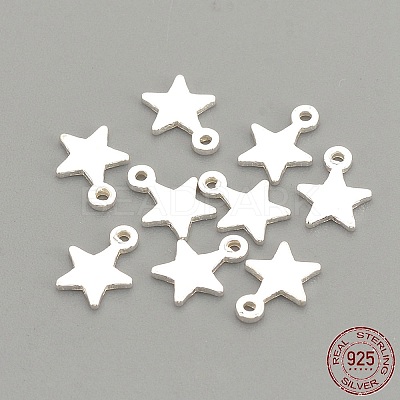 925 Sterling Silver Charms STER-S002-30-1