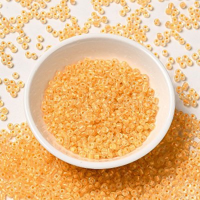 12/0 Transparent Glass Seed Beads X-SEED-F003-03C-01-1