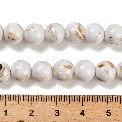 Assembled Synthetic Stone and Trochus Shell Beads Strands X-G-B128-08C-01-1