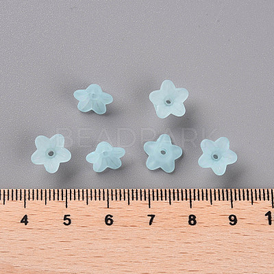 Transparent Acrylic Beads PL554-11-1