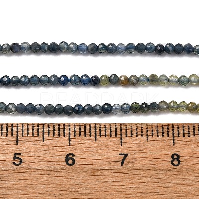Gradient Color Natural Sapphire Beads Strands G-F803-A01-01A-1