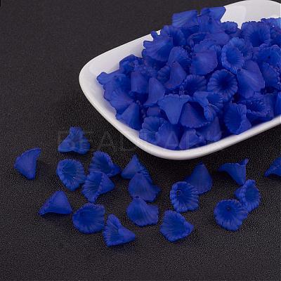Transparent Acrylic Beads PL622-C07-1