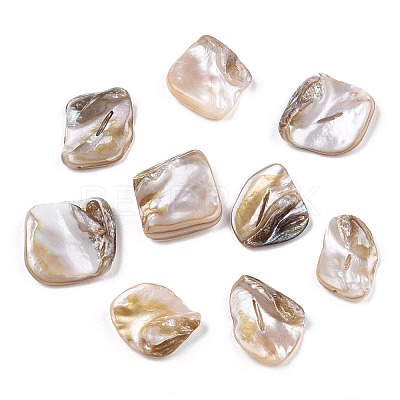 Freshwater Shell Beads X-SSHEL-T005-11-1