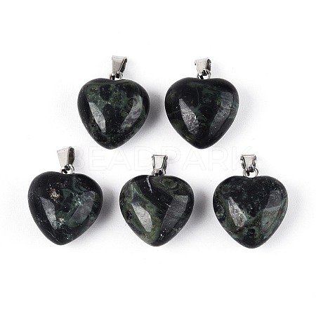 Natural Kambaba Jasper Pendants G-T143-49B-1