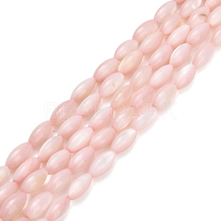 Natural Freshwater Shell Beads Strands SHEL-C010-01F-1