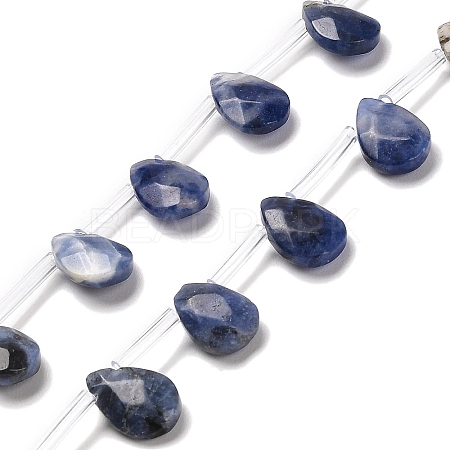 Natural Sodalite Beads Strands G-Q167-A08-01-1