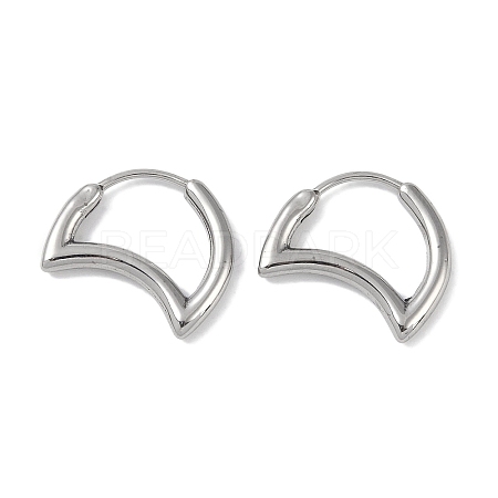 Non-Tarnish 316 Surgical Stainless Steel Hoop Earrings for Women EJEW-P274-18A-P-1