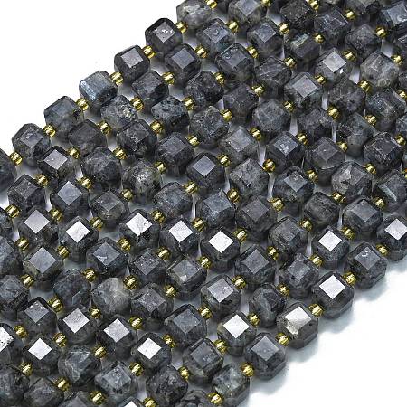 Natural Larvikite Beads Strands G-K389-A31-01-1