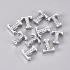 Alloy Slide Charms PALLOY-WH0066-21T-2