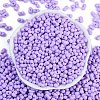 Baking Paint Glass Seed Beads X1-SEED-K010-A05-3