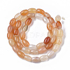 Natural Carnelian Beads Strands G-S364-052-2