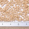 MIYUKI Delica Beads Small SEED-JP0008-DBS0389-4