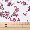 MIYUKI Delica Beads X-SEED-J020-DB2275-4