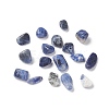 Natural Sodalite Beads G-F722-01-1