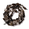 Natural Smoky Quartz Beads Strands G-I389-A31-01B-3