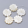 Natural Freshwater Shell Beads SHEL-T007-03-1