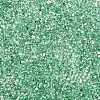 Baking Paint Transparent Glass Seed Beads SEED-N006-05J-3