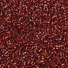 MIYUKI Delica Beads SEED-J020-DB0601-3