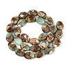 Natural Aqua Terra Jasper Beads Strands G-S366-015B-2