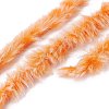 Polyester & Nylon Yarn LS-YCOR-C001-01O-3